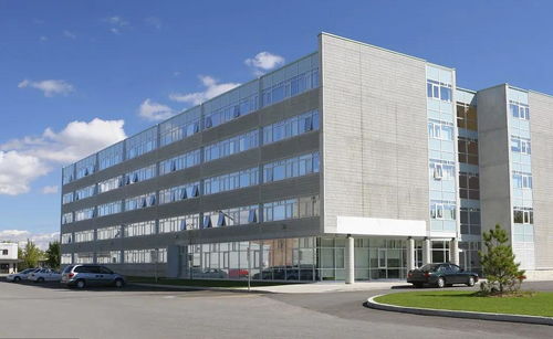 掛靠施工中，滿足特定條件即可直接向發(fā)包人主張工程款